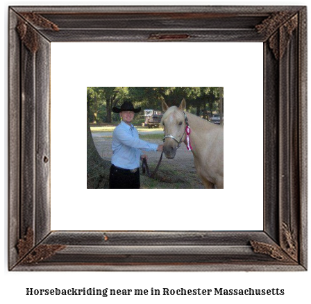 horseback riding near me in Rochester, Massachusetts